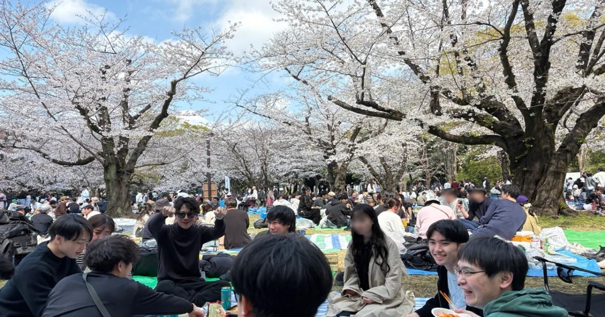 【2026.3.28 代々木公園】UHDお花見会 〜モルック大会、テキサス人乱入、そして大阪王将〜